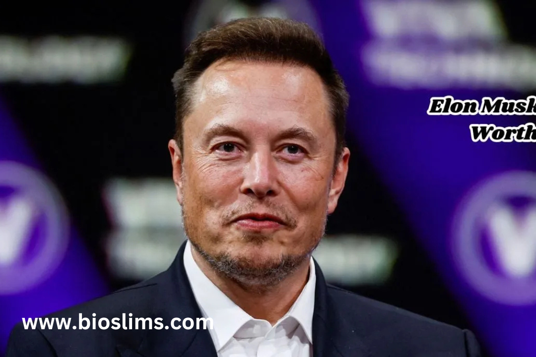 elon musk net worth in rupees