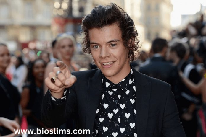 harry styles net worth